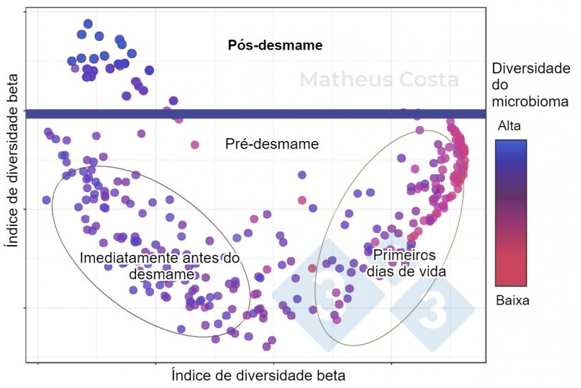 Figura&nbsp;1. Diagrama de dispersão mostrando as associações entre a composição do microbioma do porco durante os primeiros dias de vida (0-7 dias), imediatamente antes do desmame (21 dias) e após o desmame (100 dias). A maior mudança é observada entre as amostras pré-desmame e pós-desmame. Picos de diversidade alfa após o desmame (mostrado como "diversidade do microbioma").
